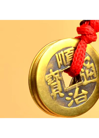 Латунный брелок - подвеска с китайскими знаками зодиака ЗМЕИ символ 2025 года No Brand (306717375)