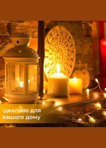 Гірлянда світлодіодна кінський хвіст GarlandoPro 200LED Роса 2м 10 ліній Жовтий Garlando (315636984)