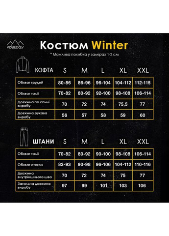 Чоловічий зимовий спортивний костюм флісовий чорний Freedom (366449500)