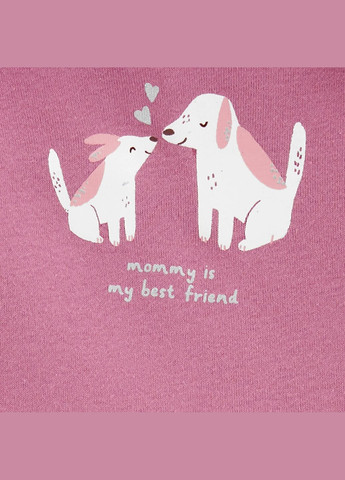 Комбинированный демисезонный комплект 2в1 боди, брюки для девочки 61-69 см (1r544110_) Carter's