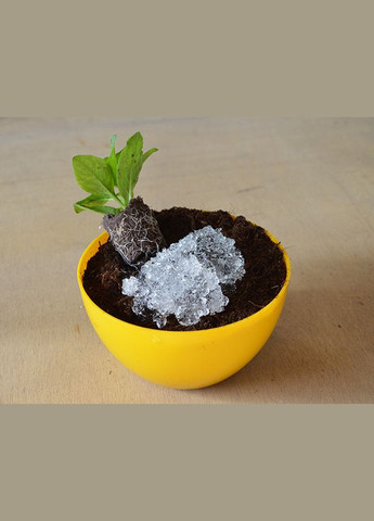 Гідрогель 50 г дрібна фракція Насіння країни (299897505)