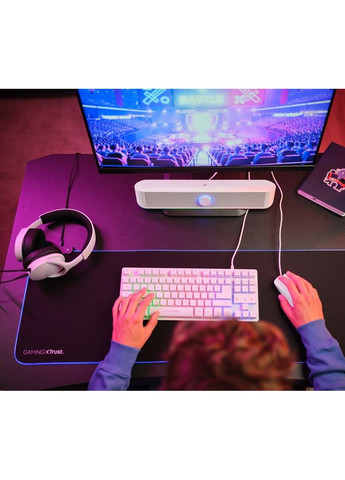 Акустическая система 25110_TRUST GXT 619 Thorne Саундбар, USB/AUX, RGB, белый Trust (364275012)