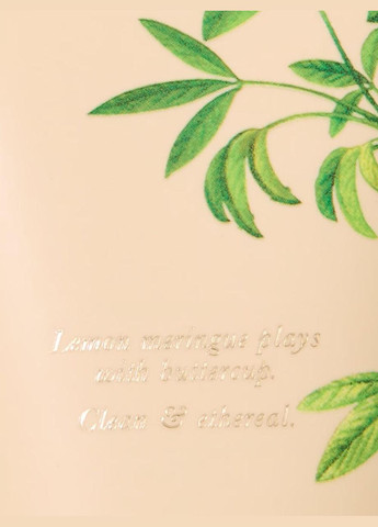 Victoria's Secret Afternoon Light - парфумований лосьйон, 236 мл — Крем, США (328904301)