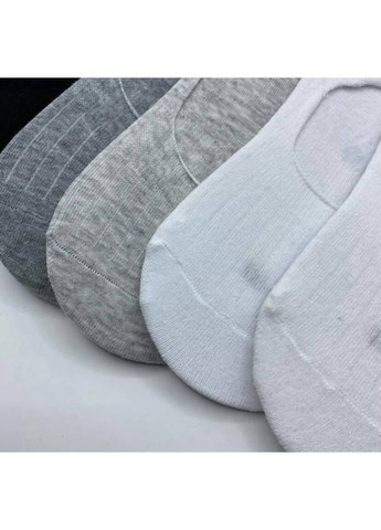 Серые набор женских носков Esmara (353493016)