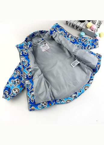 Комбинированная демисезонная куртка на слимтексе и нейлоне принт демисезонный разноцветный 1-jac-ny-sl-dh-p-80-1-06241 Marakas