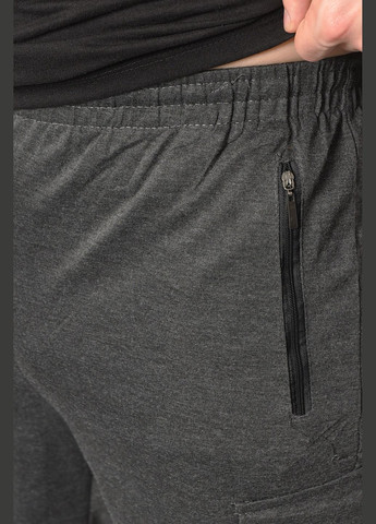 Темно-серые спортивные демисезонные зауженные брюки Let's Shop