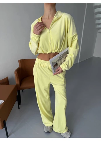 Жіночий велюровий спортивний костюм Asi.Store.ua (385207763)
