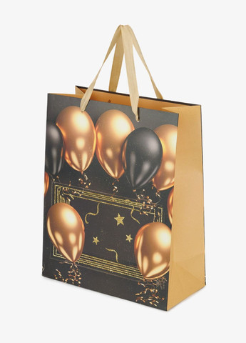 Пакет подарунковий LARGE Air balloons 760400ML shop (2000991026964) No Brand (362901790)