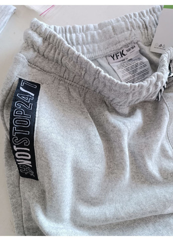 Светло-серые спортивные демисезонные брюки джоггеры Y.F.K.