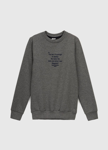 DENIZ світшот з принтом для хлопчика 3008 146 см (2000990475183d) shop (2000990475183) темно-сірий повсякденний бавовна