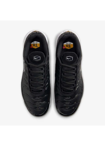 Комбіновані кросівки чоловічі air max plus п black fz4150-001 всесезон Nike