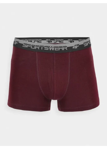 Трусы-боксеры BOXER SHORTS M051 (2PACK) 4FWMM00UBXSM051-31S 4FWMM00UBXSM051-31S 4F (386420324)