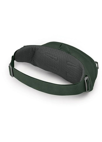 Поясна сумка Daylite Waist Osprey (342734173)