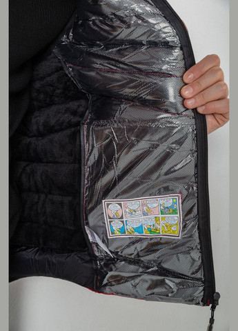 Жилетка мужская демисезонная Ager 244RC888 (313862877)