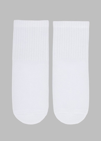 Білі шкарпетки для хлопчика класичні 20-22 (4820203339341a) shop (4820203339341) Premier Socks всесезон (301641067)