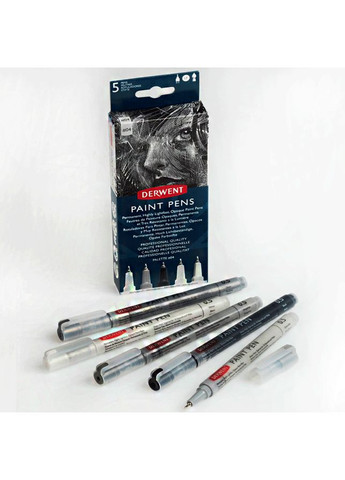 Набор цветных ручек PAINT PEN PALETTE №4 5шт Derwent (362581190)