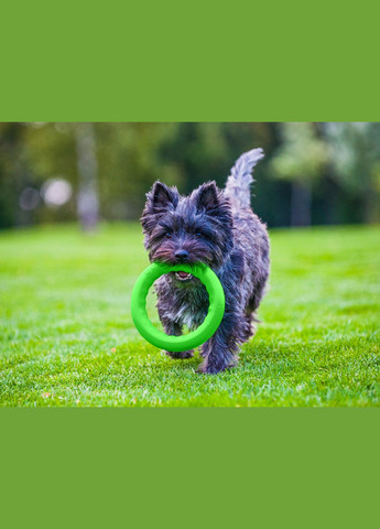 Кольцо для апортировки PitchDog30, диаметр 28 см PitchDog (329994221)