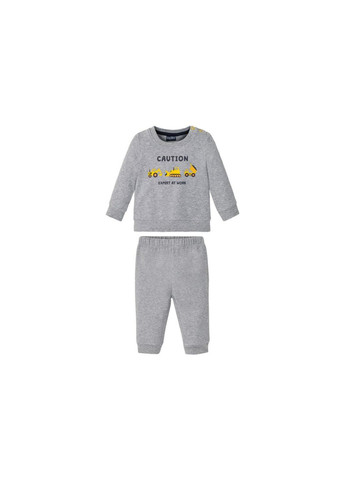 Сірий демісезонний костюм (світшот і штани) для хлопчика 362718 сірий брючний Lupilu