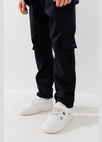 Темно-синие повседневный зимние брюки DENIZ