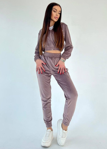 Базовий повсякденний велюровий костюм двійка: вкорочений худі + штани Allthings (321994114)