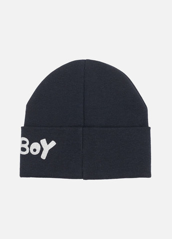 Шапка для хлопчика колір темно-синій ЦБ-00258337 Yuki (300625446)