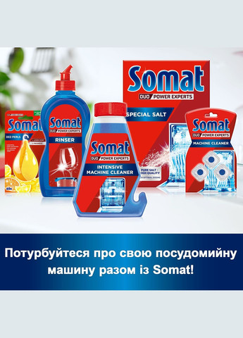 Средство по уходу за посудомоечной машиной Machine Cleaner Intensiv, 250 мл Somat (342715622)