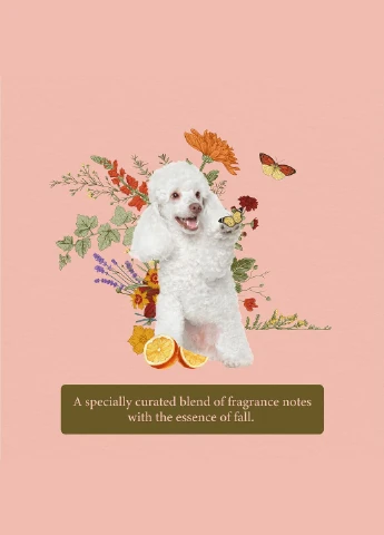 Парфуми для собак та котів Pet Spa Senses Forever Serenity Cologne 120 мл 26044 Hydra (268987552)