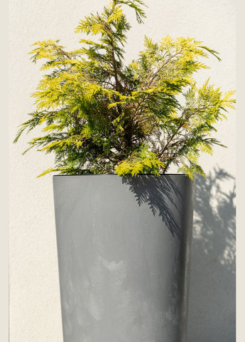 Кашпо Лилия 190 серый бетон, пластик Lamela Лілія (345726215)