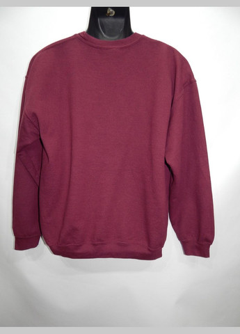 Чоловіча тепла кофта р.50-52 021ZMT (тільки в зазначеному розмірі, тільки 1 шт.) Gildan (315725270)