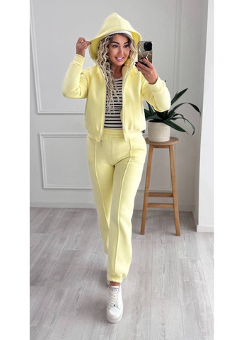 Спортивний костюм на флісі LeVi (367088805)