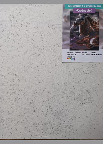 Картина за номерами Вільний кінь Картини за номерами коні 40х50см GX36495 Rainbow Art (308989064)