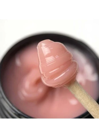 Полігель POLYGEL №06 Candy Beige, 15 мл Art (397073724)