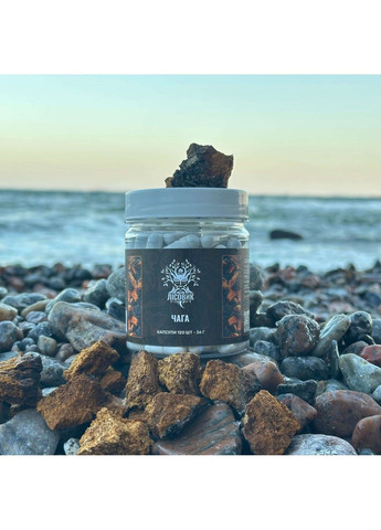 Гриби Чага березова капсули 60 шт Лісовик (364210613)