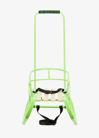 Санки Експрес + спинка+ручка 17272 shop (2000990865090) Vitan (316022890)