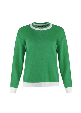 Зеленый джемпер 2763 зеленый с белым Triko Bakh