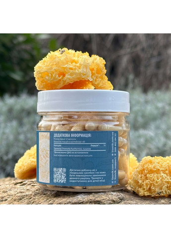 Тремела (Tremella fuciformis), капсули по 120 шт 0.5 г Лісовик (334711139)