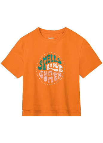 Комбинированная демисезонная футболка 2шт Lupilu