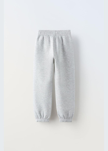 Сірий комплект дитячий на флісі (світшот+штани) 0257/602 сірийй Zara