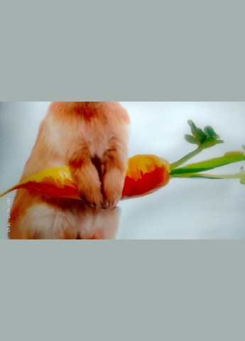 Виниловые наклейки на стену Зайка с морковкой (лист 40 х 39 см) Б376-16 No Brand (302243036)