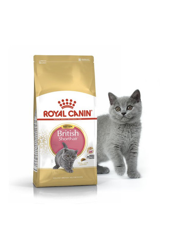Сухий корм для кошенят породи британська короткошерста до 12 місяців British Shorthair Kitten 400 г 3182550816526 99310 Royal Canin (266274082)