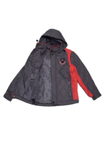Темно-серая демисезонная куртка демисезонная для мальчика Skorpian