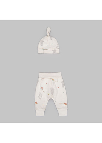 Комбінований демісезонний комплект (штани, шапочка) H&M