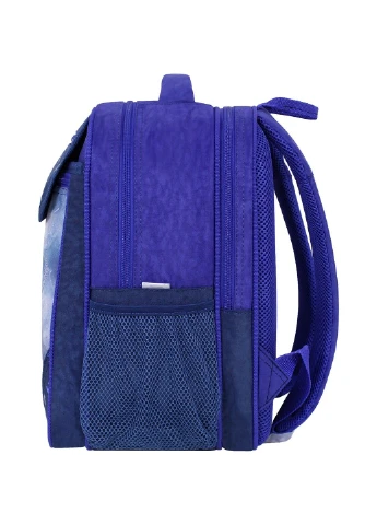 Рюкзак шкільний Відмінник 20 л. 225 синій 534 (0058070) Bagland (331532416)