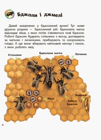 Енциклопедія дошкільника. Комахи РАНОК (323480388)