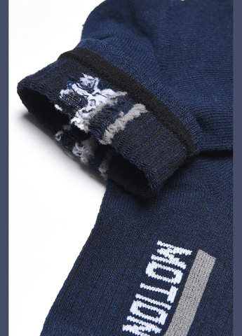 Шкарпетки чоловічі спортивні темно-синього кольору Let's Shop (283249981)