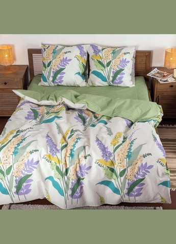 Постільна білизна ранфорс - 23224 євро Viluta (288045713)