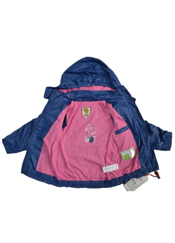 Синяя демисезонная ветровка Quadri foglio