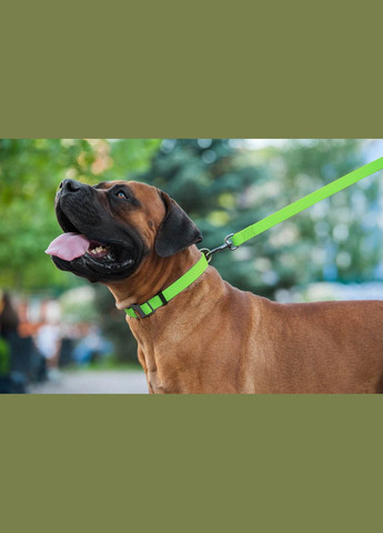 Повідець для собак водостійкий Waterproof Ш 15 мм Д 122 см Салатовий WAUDOG (322328000)