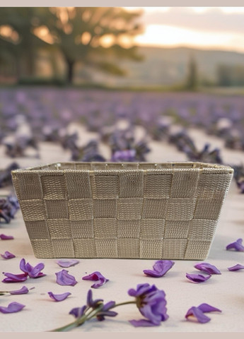 Кошик органайзер,, бежевий Pepco (326738868)