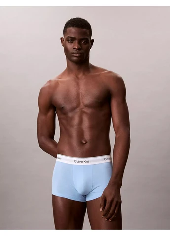 Трусы (3 шт.) Calvin Klein (403194112)